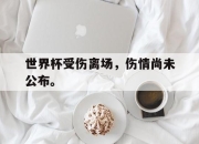 海星TV-世界杯受伤离场，伤情尚未公布。